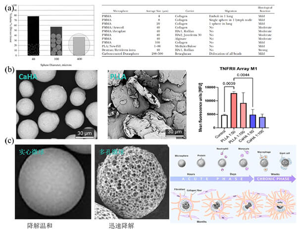 Effects of microsphere morphology on filler performance