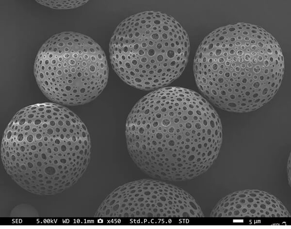 Electron micrograph of porous microspheres