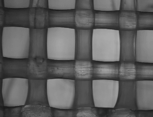 High printing precision of medical-grade PLLA filament