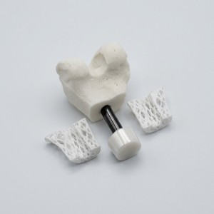Biomedical 3D Printing Services