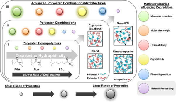 Material characteristics influencing polyester degradation