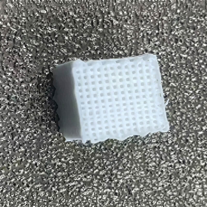Medical-grade PCL-HA printed model4