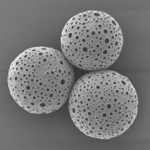PDLLA  Porous Microspheres