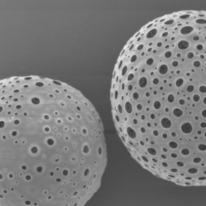 PLLA  Porous Microspheres