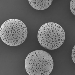 PLLA  Porous Microspheres