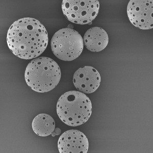 PLLA  Porous Microspheres