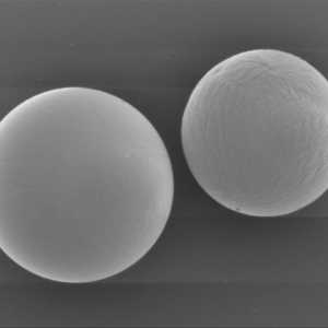 PLLA  Microspheres