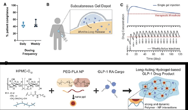 Preparation of GLP-1 RA-loaded PNP injectable hydrogels