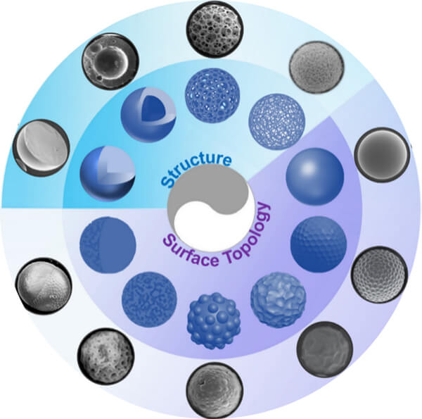 Representative structures and surface topologies of polyester microspheres