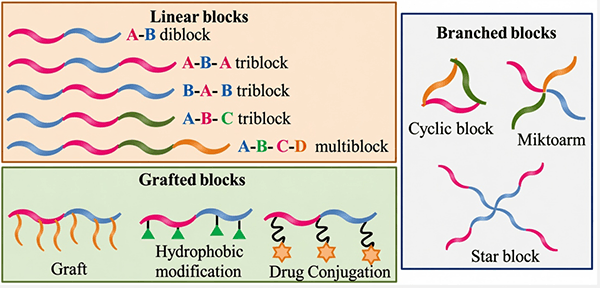 Schematic diagram of the structural design of PEG-polyester block copolymers.