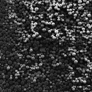 PCL Microspheres