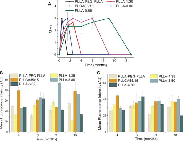 collagen regeneration induced by five filler materials