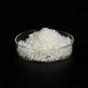 mPEG-PCL Copolymer