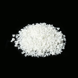 mPEG-PCL Copolymer