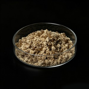 mPEG-PLGA Copolymer