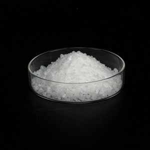 mPEG-PLLA Copolymer