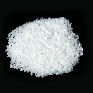 mPEG-PLLA Copolymer