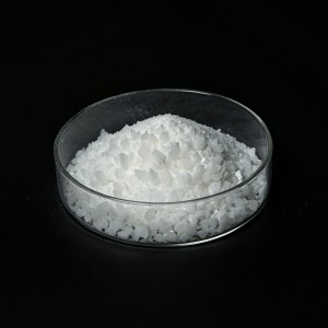 mPEG-PLLA Copolymer