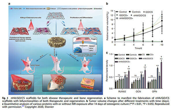 scaffolds-with-dual-therapeutic-and-regenerative-functions